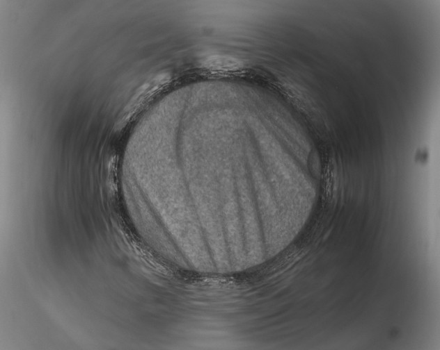 X0000115581346200912011429