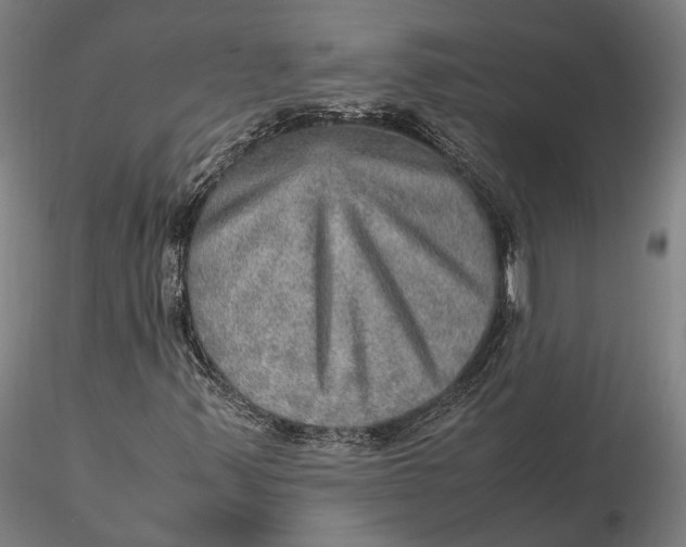 X0000115581347200912011429