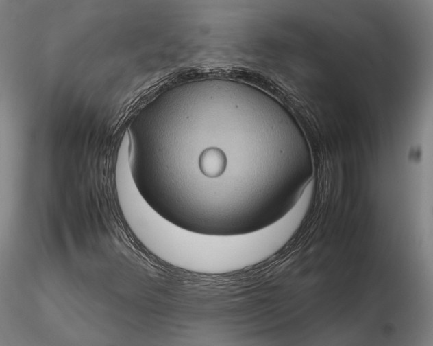 X0000115581348200912011429