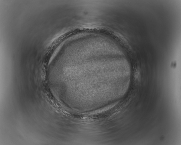 X0000115581350200912011429