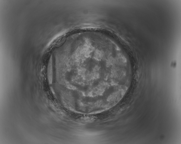 X0000115581351200912011429