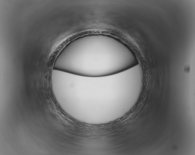 X0000115581352200912011429