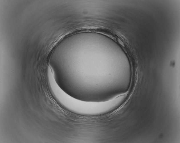 X0000115581353200912011429