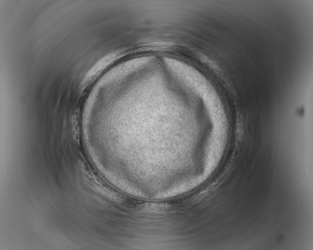 X0000115581354200912011429