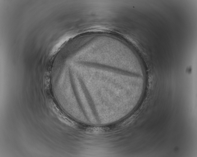 X0000115581355200912011429