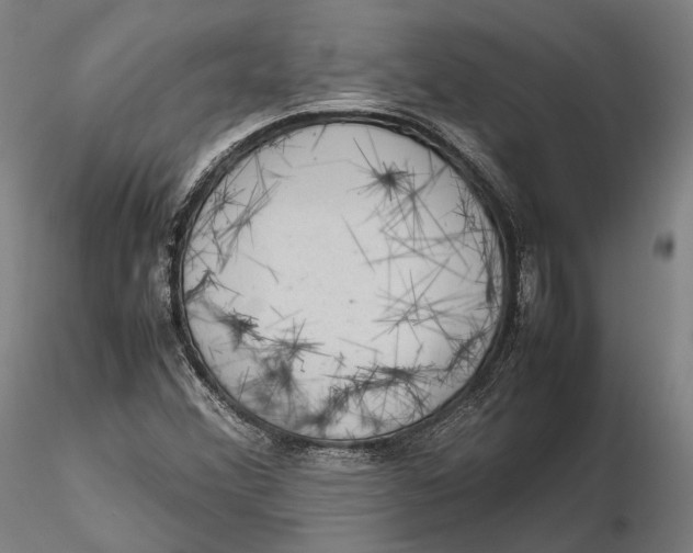 X0000115581356200912011429