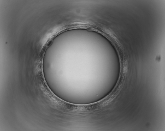 X0000115581357200912011429