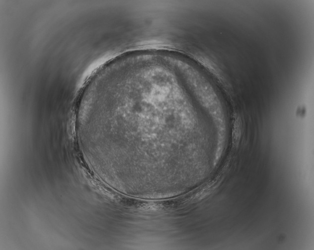 X0000115581358200912011429