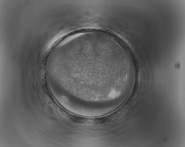 X0000115581359200912011429