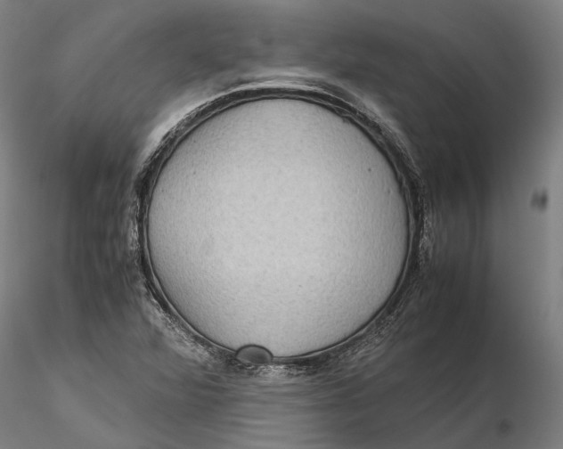 X0000115581360200912011429