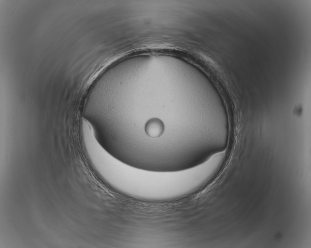 X0000115581361200912011429