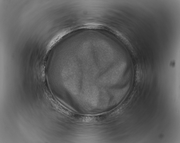 X0000115581362200912011429