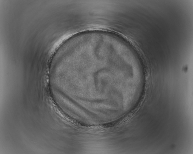 X0000115581363200912011429