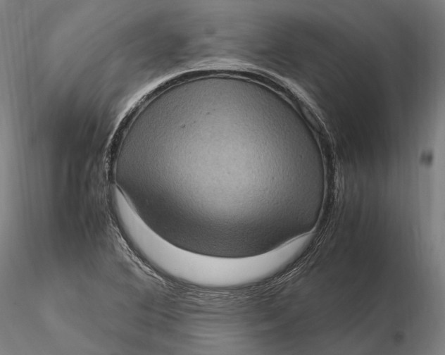 X0000115581364200912011429