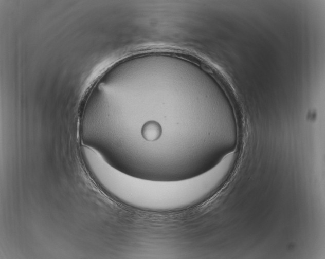 X0000115581365200912011429