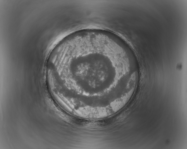 X0000115581367200912011429