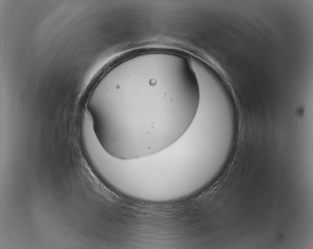 X0000115581368200912011429