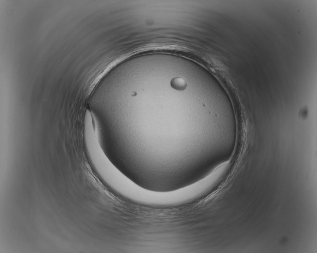 X0000115581369200912011429