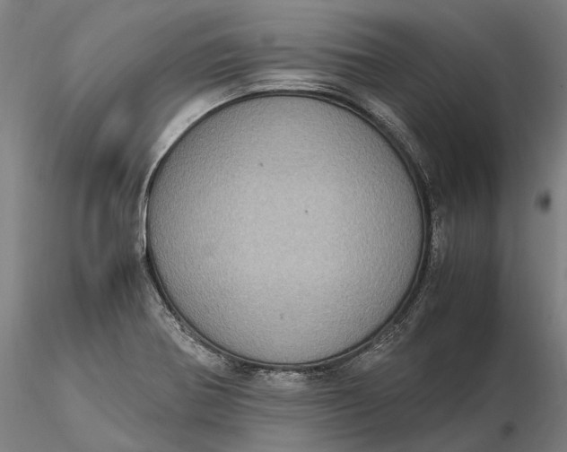 X0000115581370200912011429