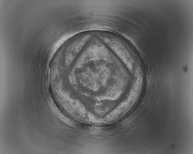 X0000115581371200912011429