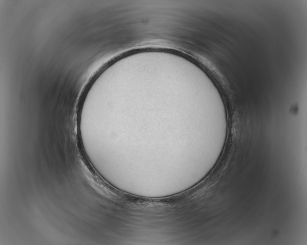 X0000115581372200912011429