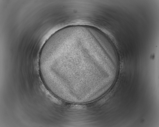 X0000115581374200912011429