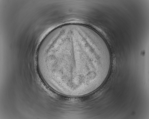 X0000115581375200912011429