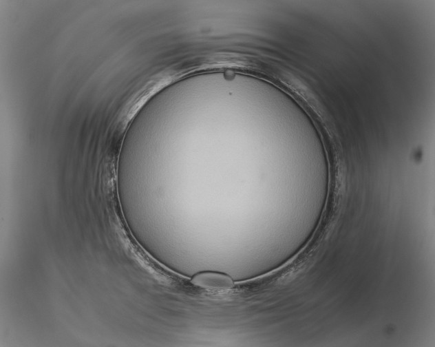 X0000115581377200912011429