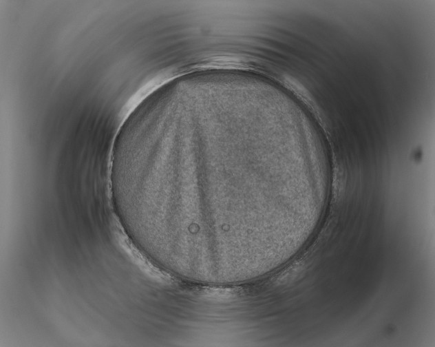 X0000115581378200912011429