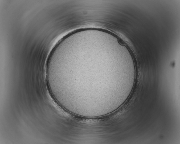 X0000115581380200912011429