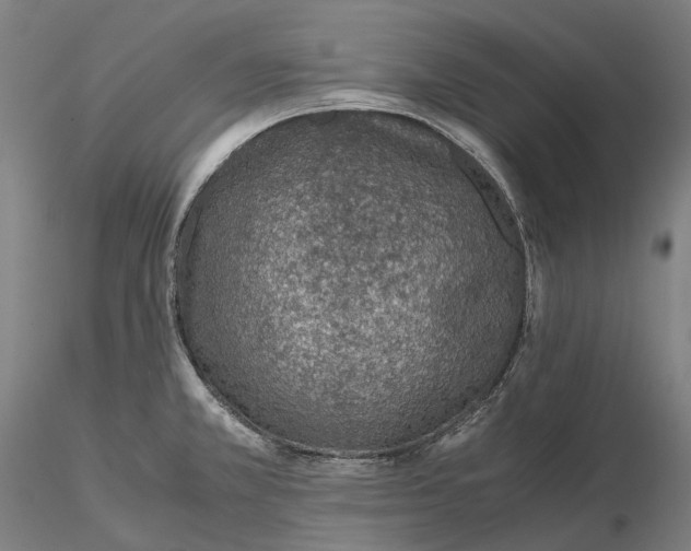 X0000115581381200912011429