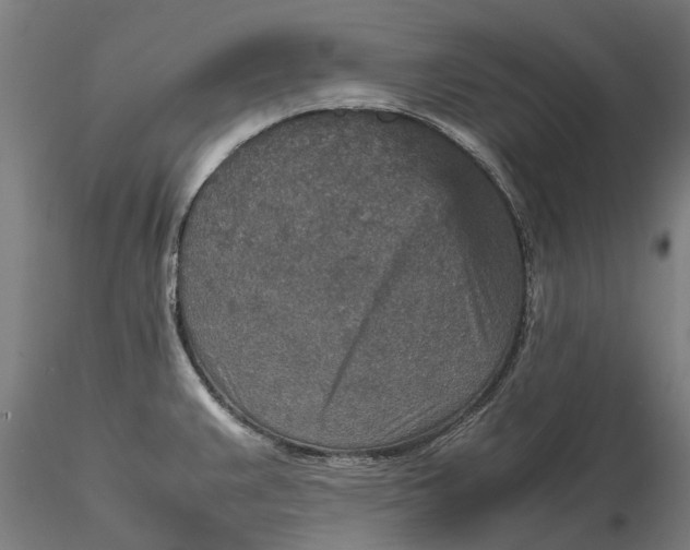 X0000115581383200912011428