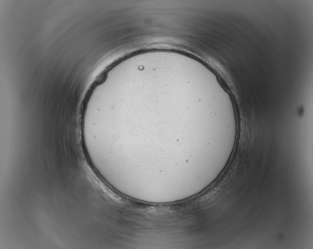 X0000115581384200912011428