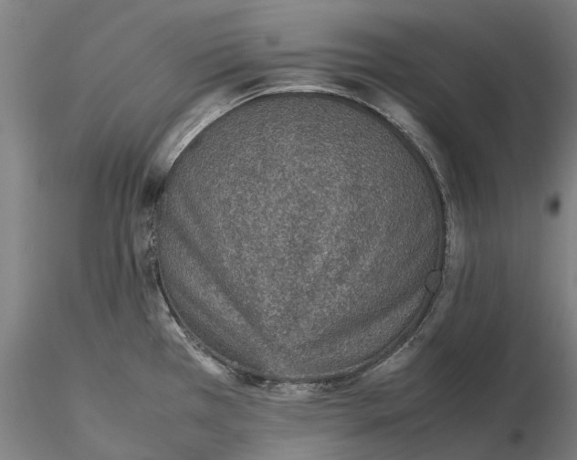 X0000115581385200912011428