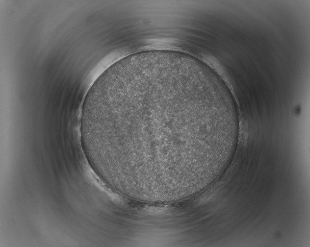 X0000115581386200912011428