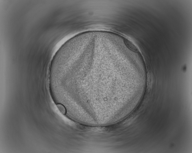 X0000115581387200912011428