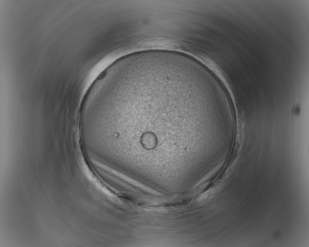 X0000115581389200912011428