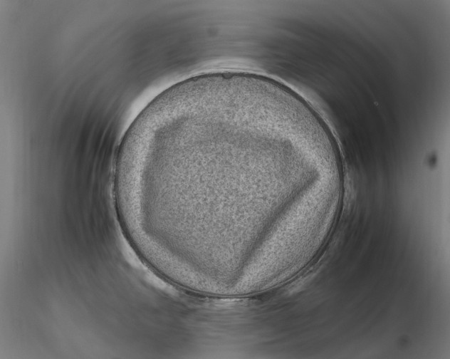 X0000115581390200912011428