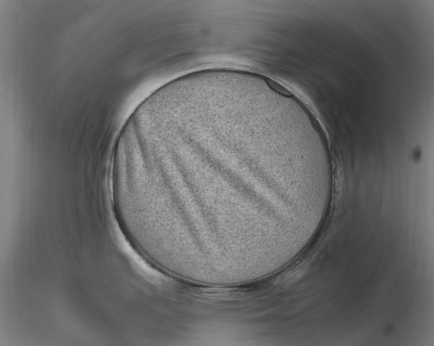 X0000115581391200912011428