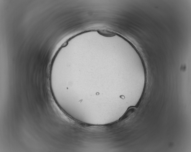 X0000115581392200912011428