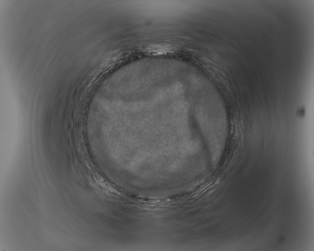 X0000115581393200912011428