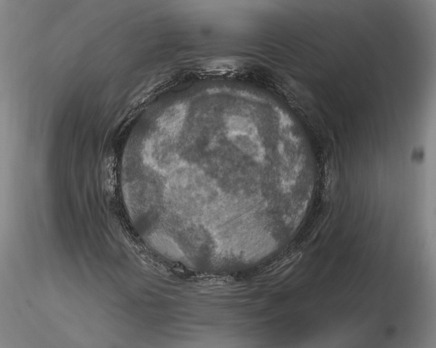 X0000115581394200912011428