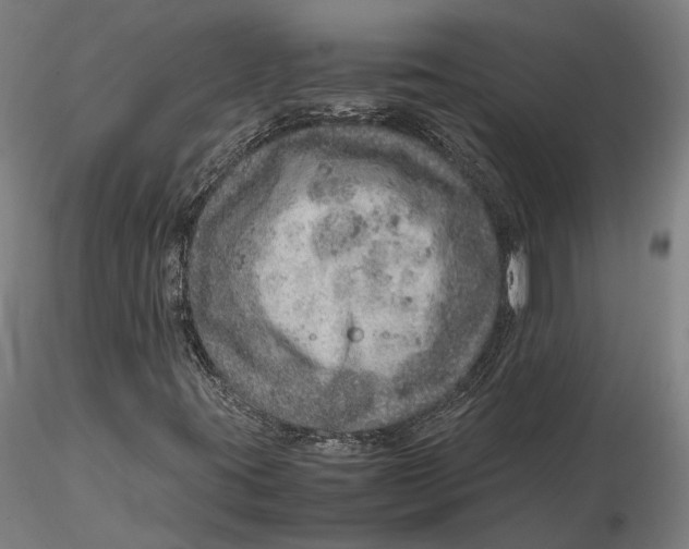 X0000115581395200912011428