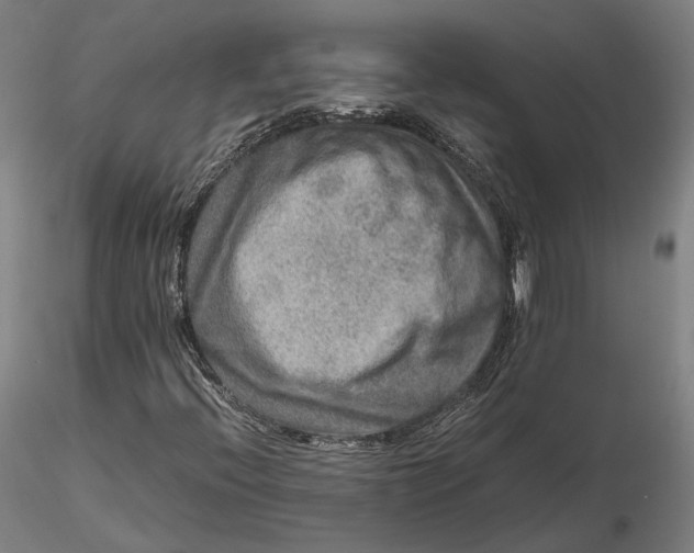 X0000115581396200912011428