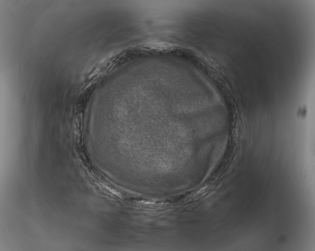 X0000115581397200912011428