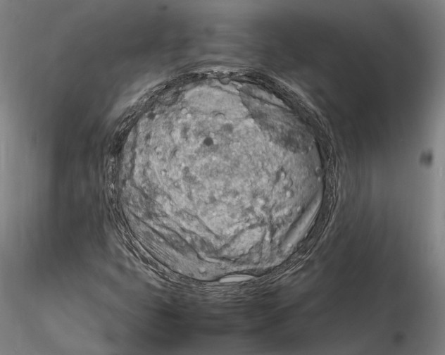 X0000115581399200912011428