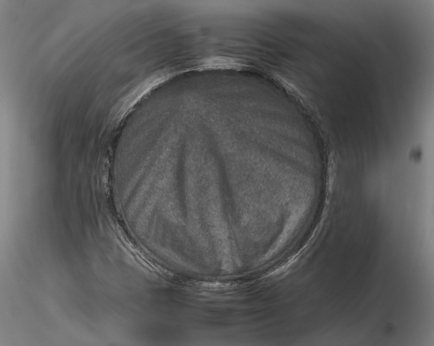 X0000115581401200912011428