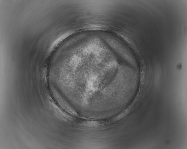 X0000115581402200912011428