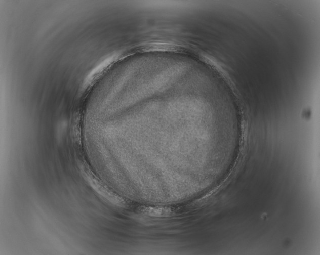 X0000115581403200912011428