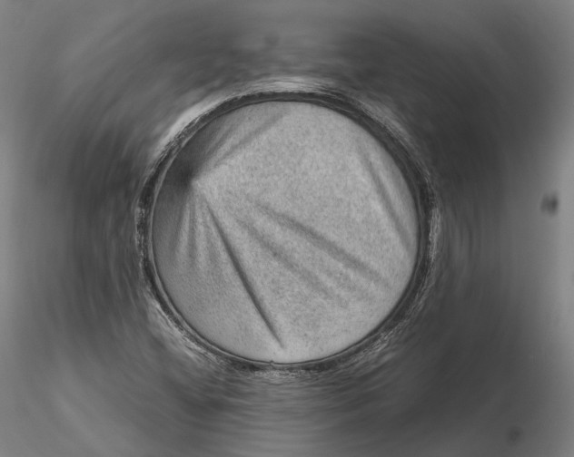 X0000115581404200912011428